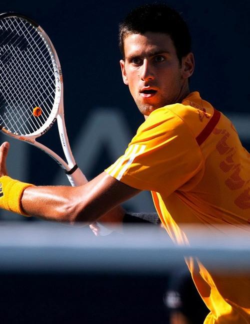 强大的整体 强大的整体